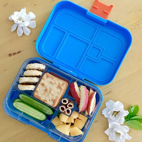 Munchbox Munch box bento bentobox maxi maxi6 Blue ocean yumbox