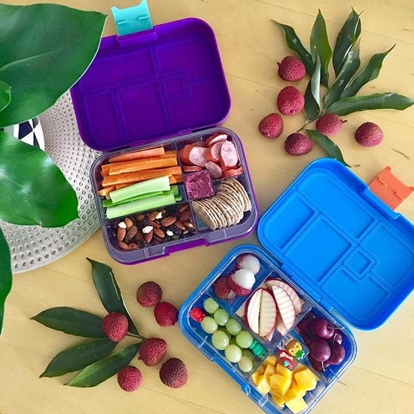 Munchbox Munch box bento bentobox maxi maxi6 Blue ocean yumbox